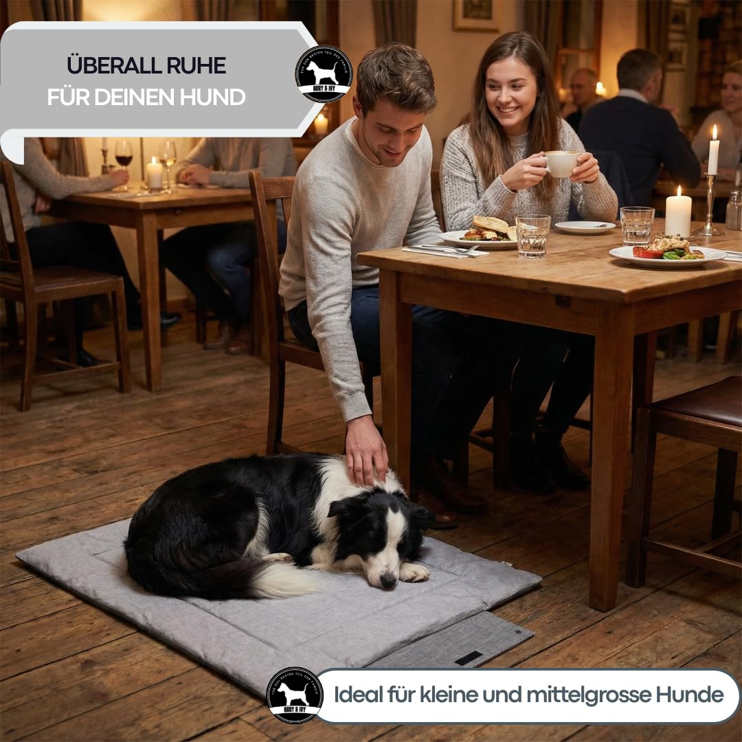 Abby&Ivy Hundedecke für Unterwegs 90x70cm- Faltbare Hundematte & Hundekissen, Waschbar, rutschfest, Outdoor Hundebett für Reisen, Camping, Auto & Büro, Decke für kleine und mittlere Hunde