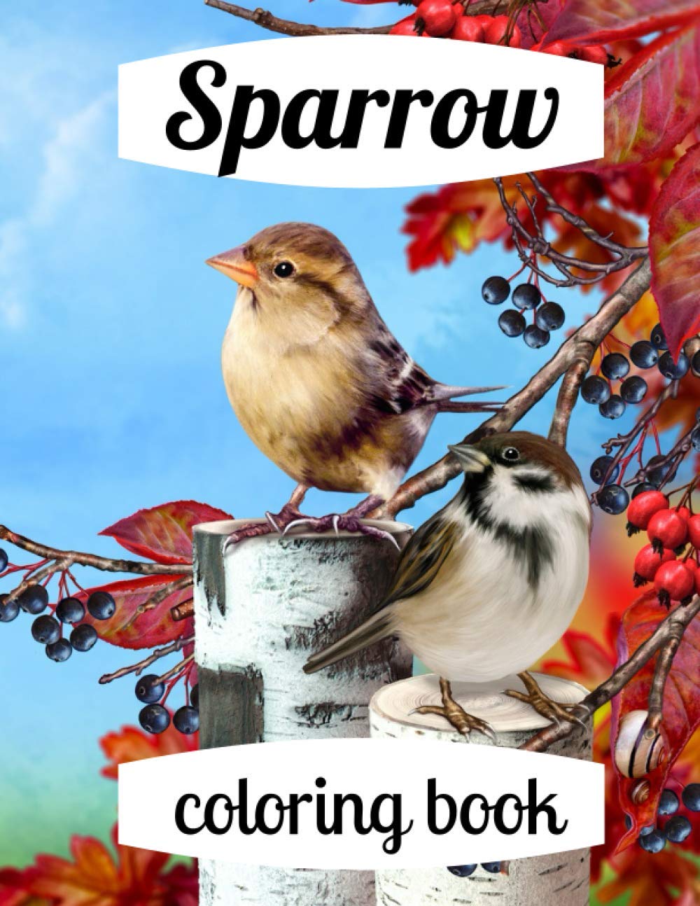 Sparrow coloring book: A coloring book for adults and kids amazing Sparrow image design paperback