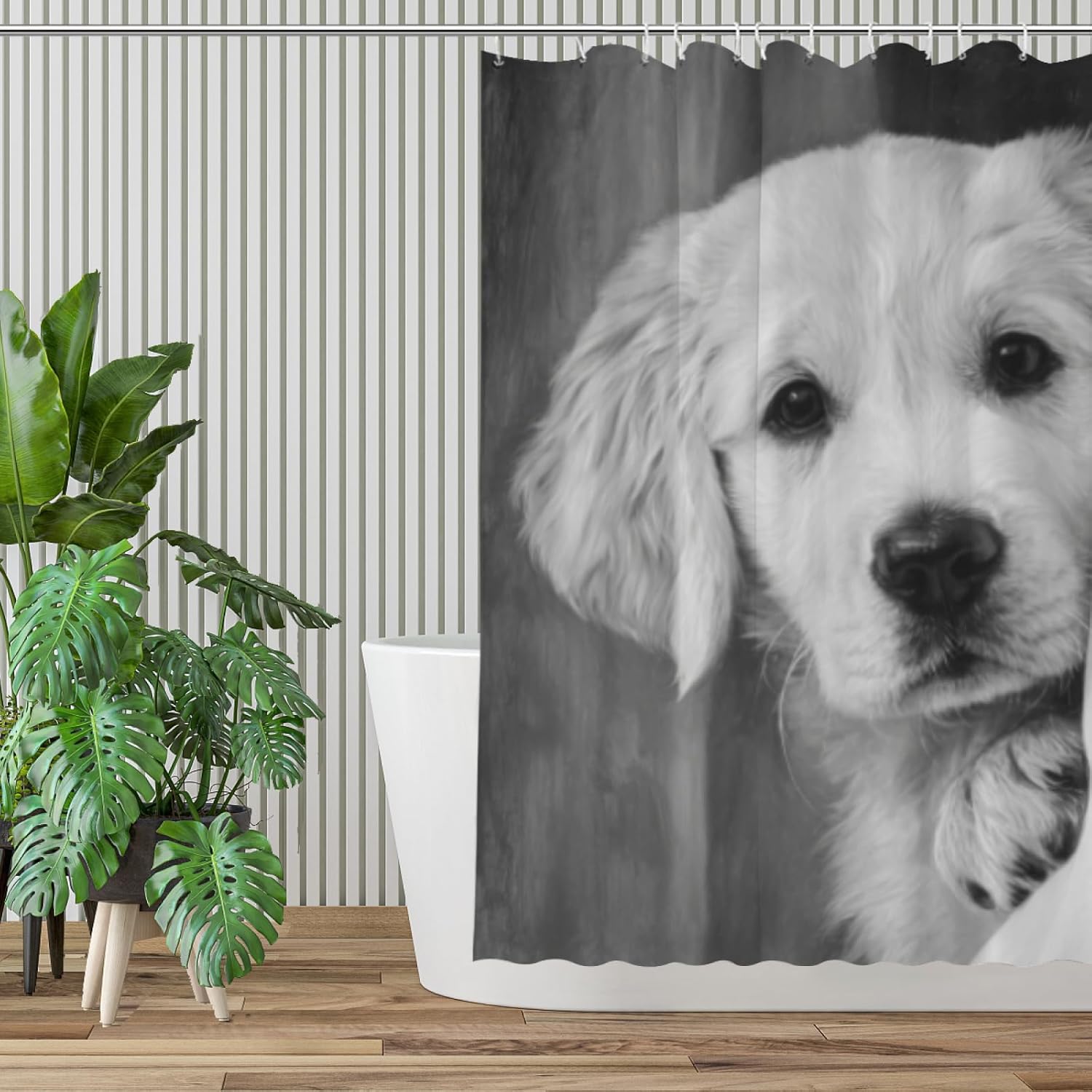 Golden Retriever Shower Curtain Funny are You Pooping Black and White Bath Curtain Bathroom Decor Animal Toilet Resistant Fabric with 12 Hooks 72x72