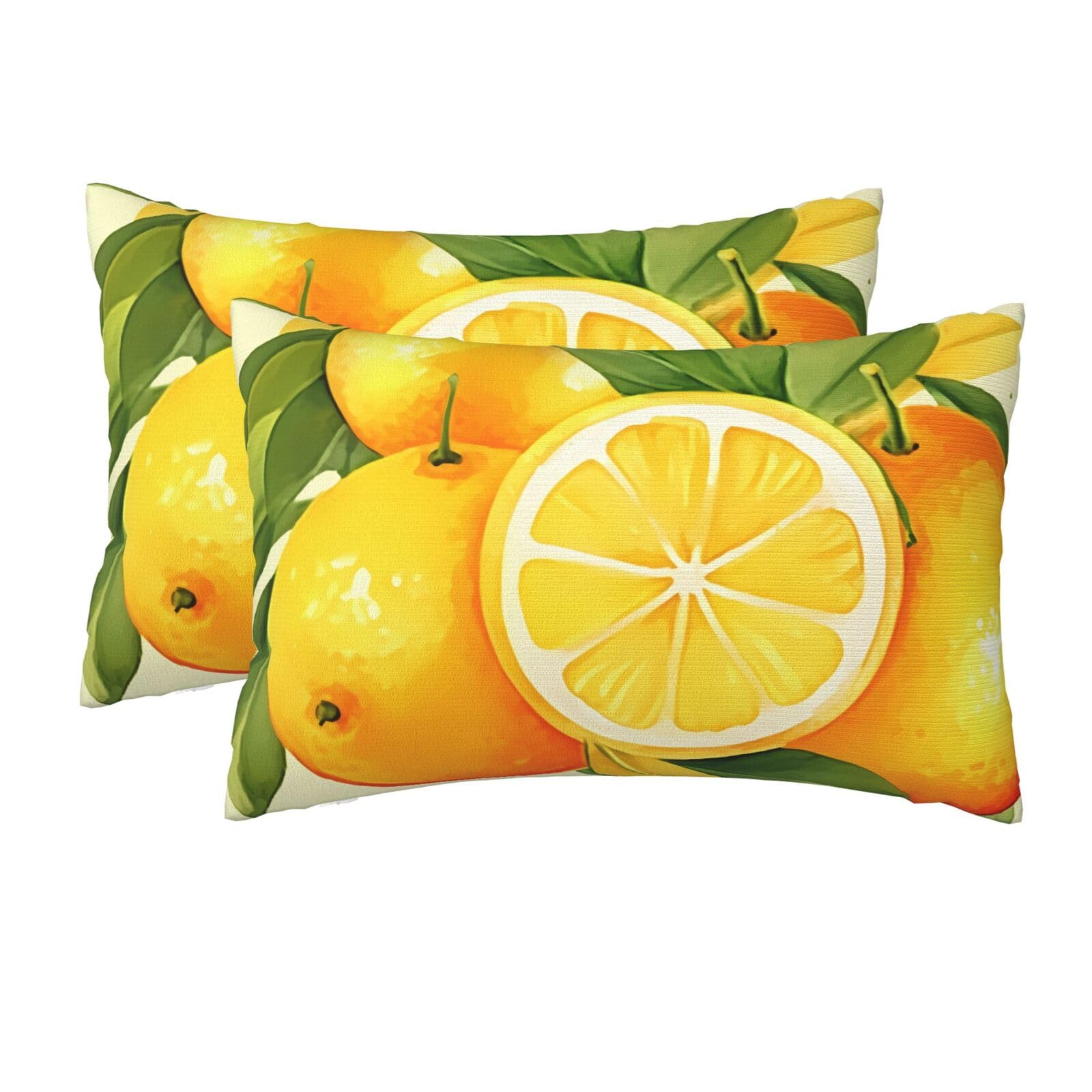 2 Pack Queen Size Pillow Cases for Hair and Skin Soft Breathable Pillow Case Covers with Hidden Zipper Watercolor Lemon Fruit Pillowcase 20x30 Inches Pillow Cover for Sleeping Gift