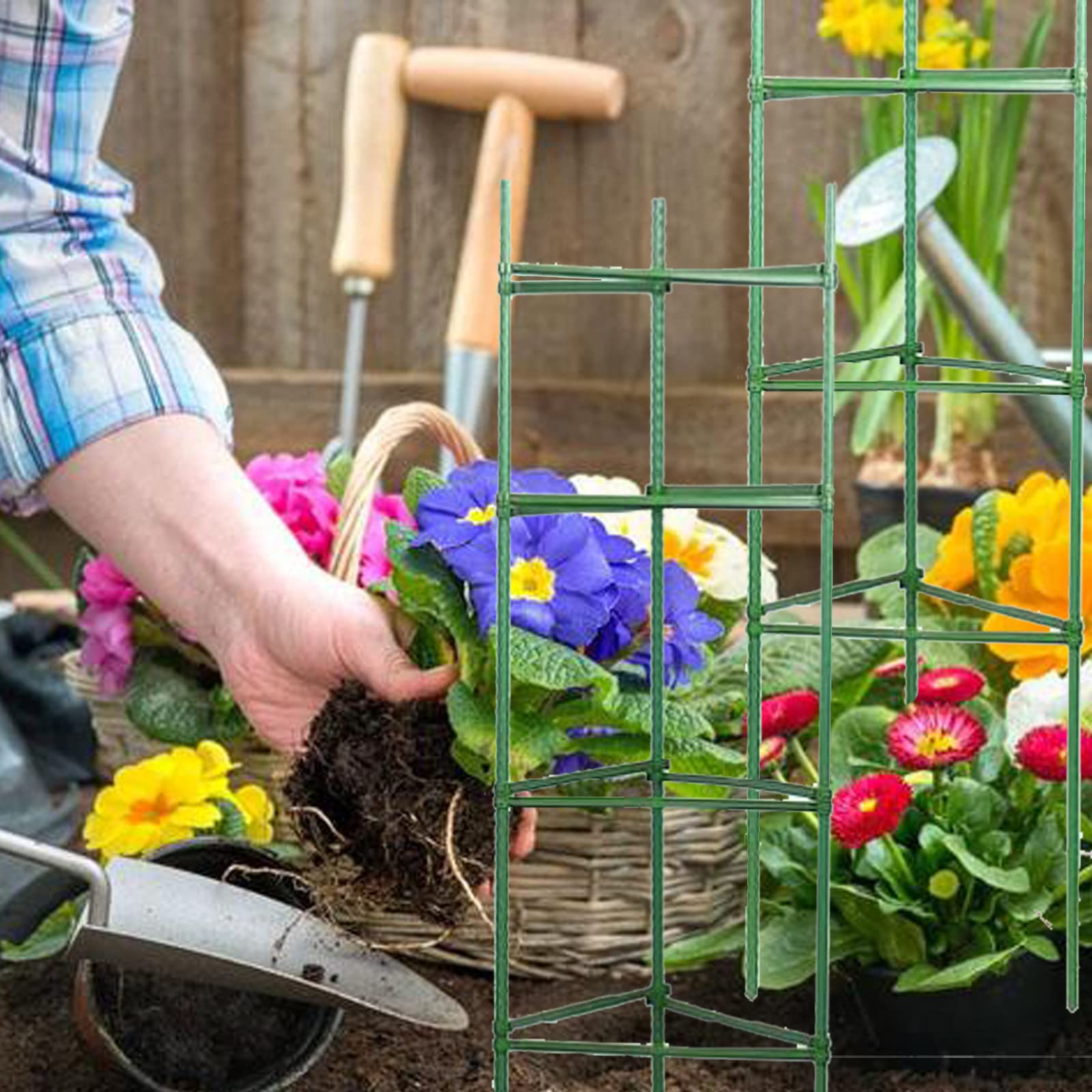 IDOXE Lot de 30 bras de piquet pour cage à tomates - Connecteurs de treillis extensibles - Pour plantes grimpantes verticales