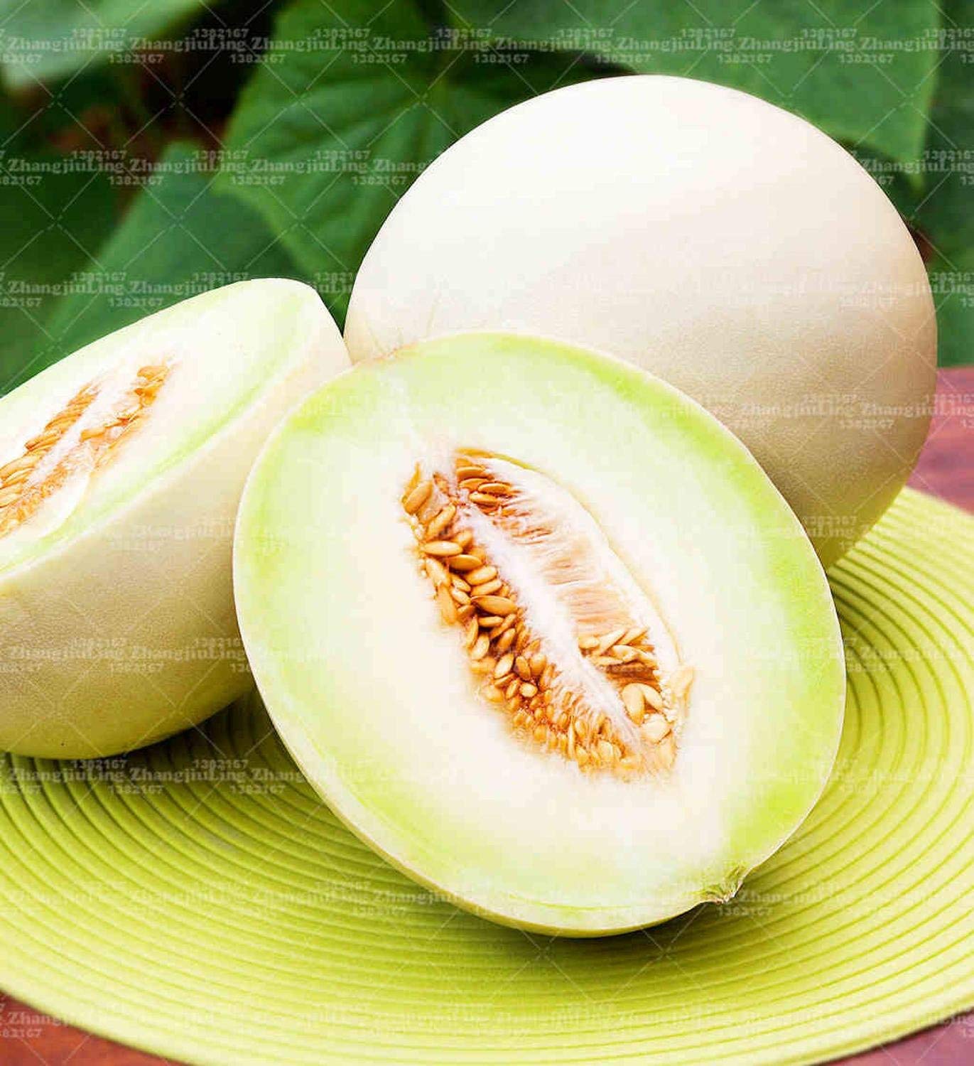 Semi di Melone Retato degli Ortolani Bio di Arcoiris - Sementi Semi di Melone Retato degli Ortolani Bio di Arcoiris - Sementi