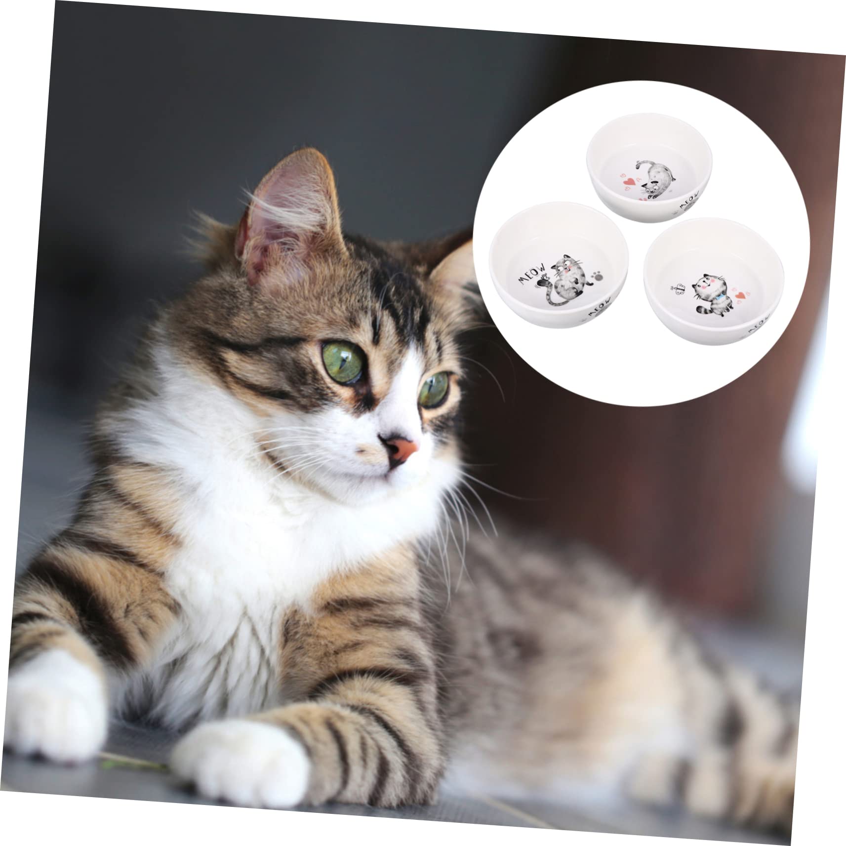 Keramik Katzennapf für Katzen und Kätzchen Leicht zu Reinigen Sicher Weiß für Täglichen Futterbedarf Zufälliger Stil