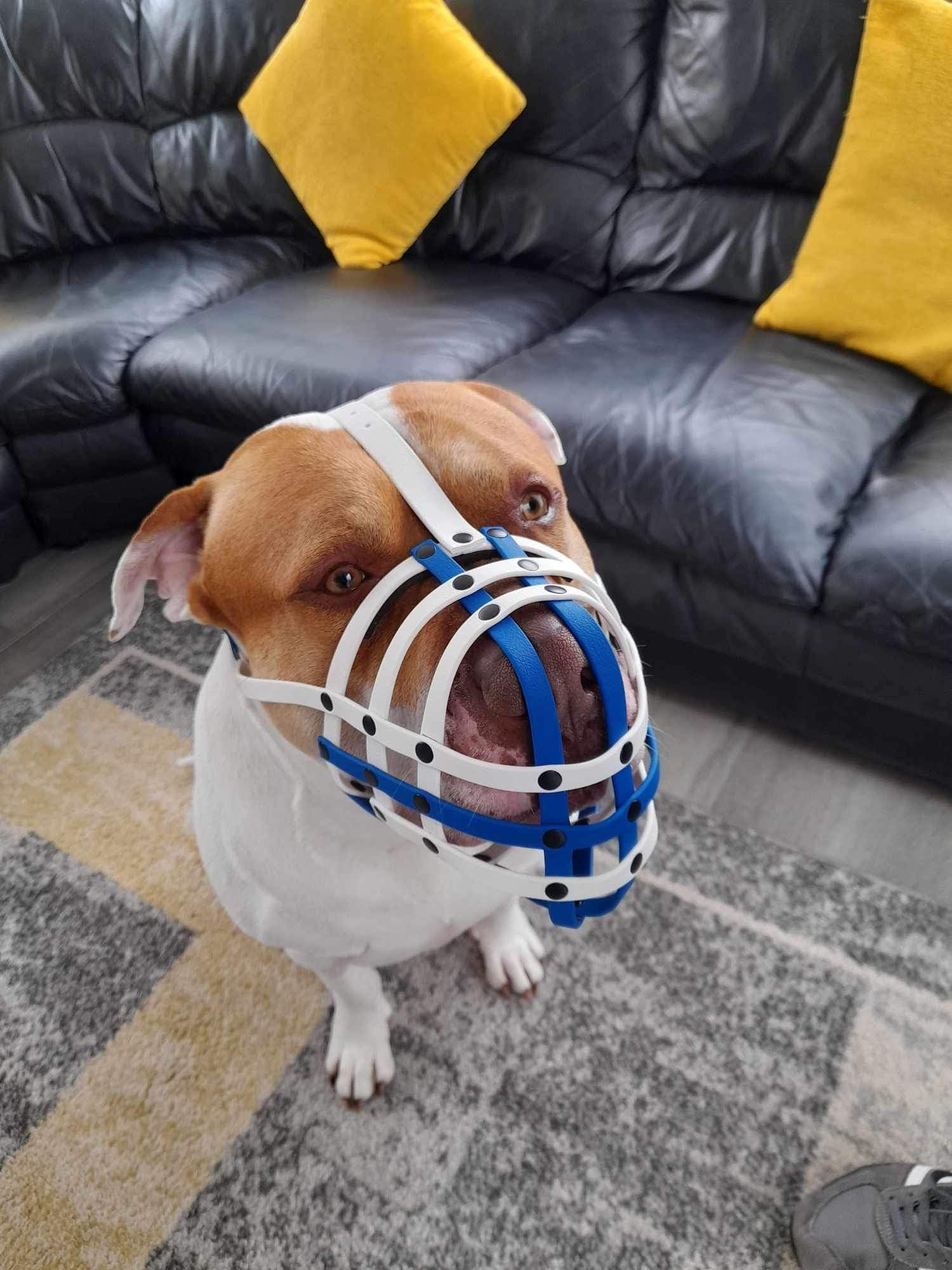 Biothane Dog Muzzle | Training & Behaviour | Strong, Waterproof Design | XL American Bully, XL Bully | Handmade, Durable