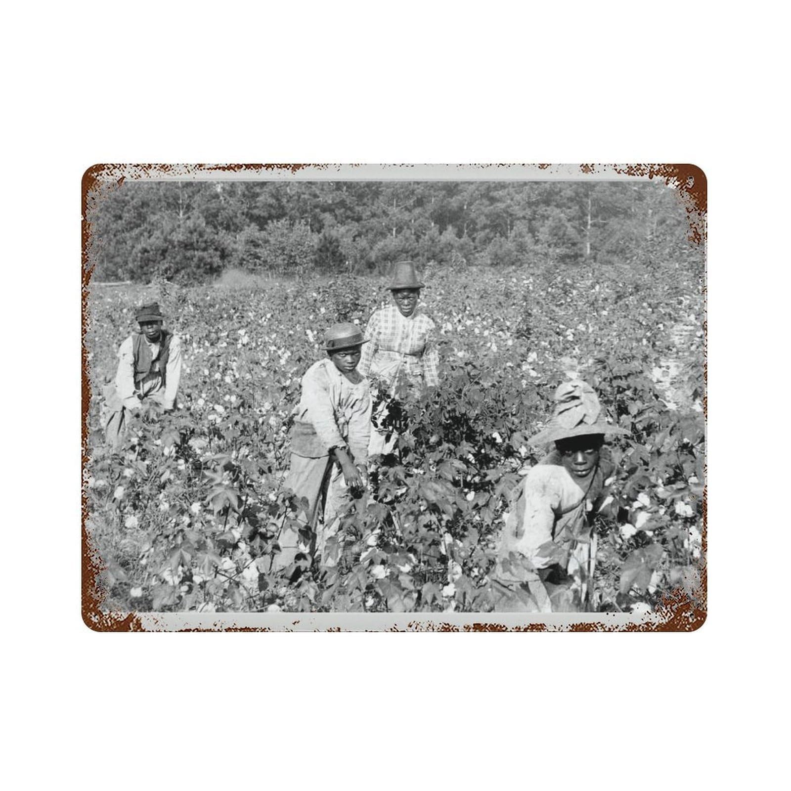xiaoxiaoshen Black History Month African American Women, Vintage Slavery Photograph Wall Decor Art Metal Tin Poster Modern Home Decor Art Home Bar Shop Decorations Vintage Sign 30x40cm