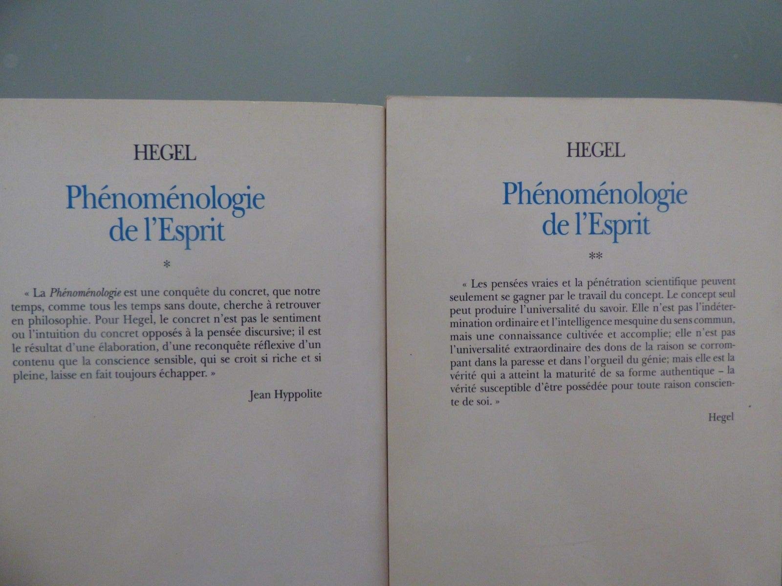 La phénoménologie de l'esprit - 2 volumes