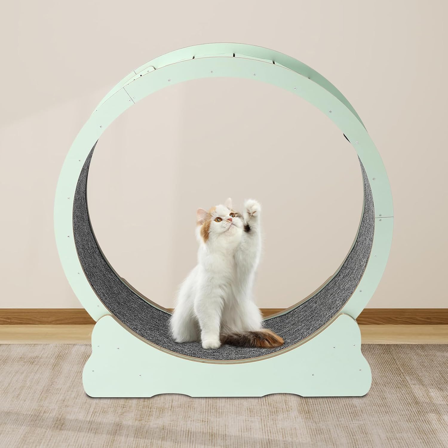 Cat Exercise Wheel