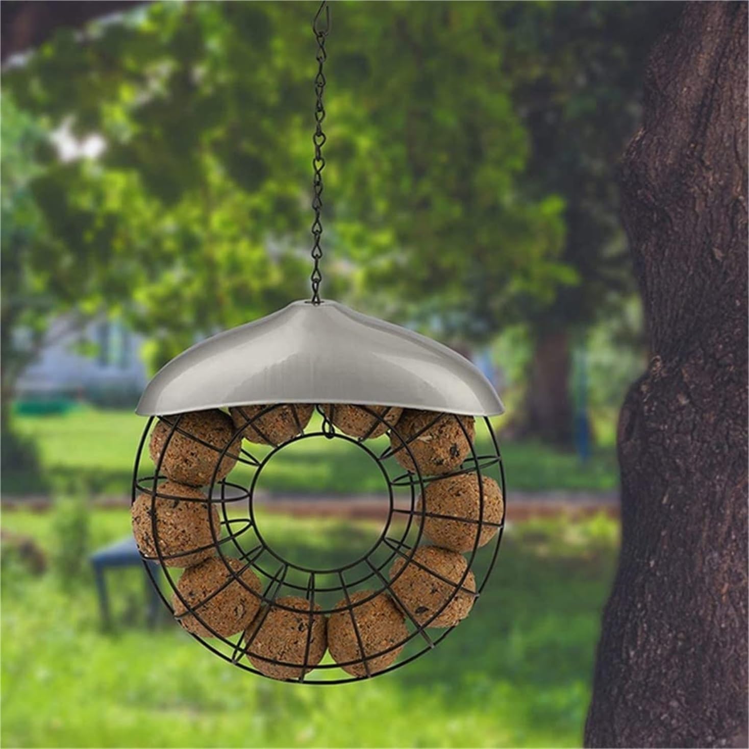 Mangiatoia per Uccelli per Esterni Mangiatoia per Uccelli Mangiatoia per Uccelli da Esterno con Ghirlanda Rotonda in Metallo da Appendere con Anello per Cibo Balcone Giardino