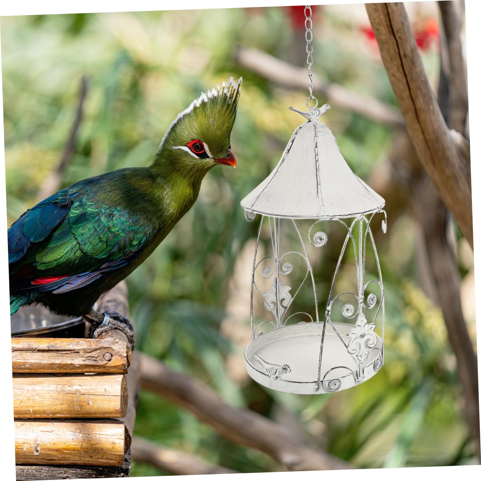 1stück Vogel Futterstation Weiß Dekorativer Hängender Futterbehälter Für Garten Für Kleine Vögel Wie Kanarienvögel Und Lärchen Natur Ihren Garten Zu Bringen