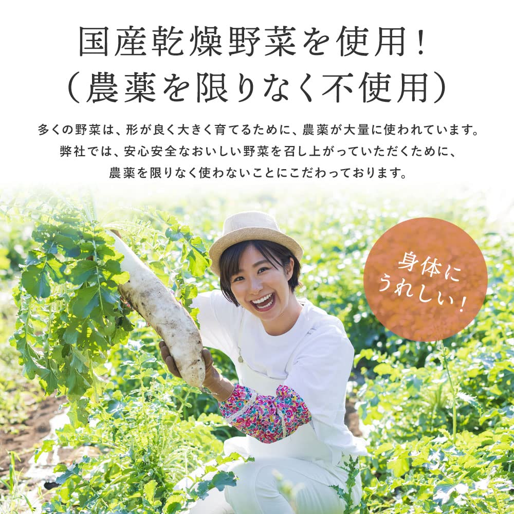 菜やさい菜 国産京都府産乾燥野菜ミックス 無添加 減農薬