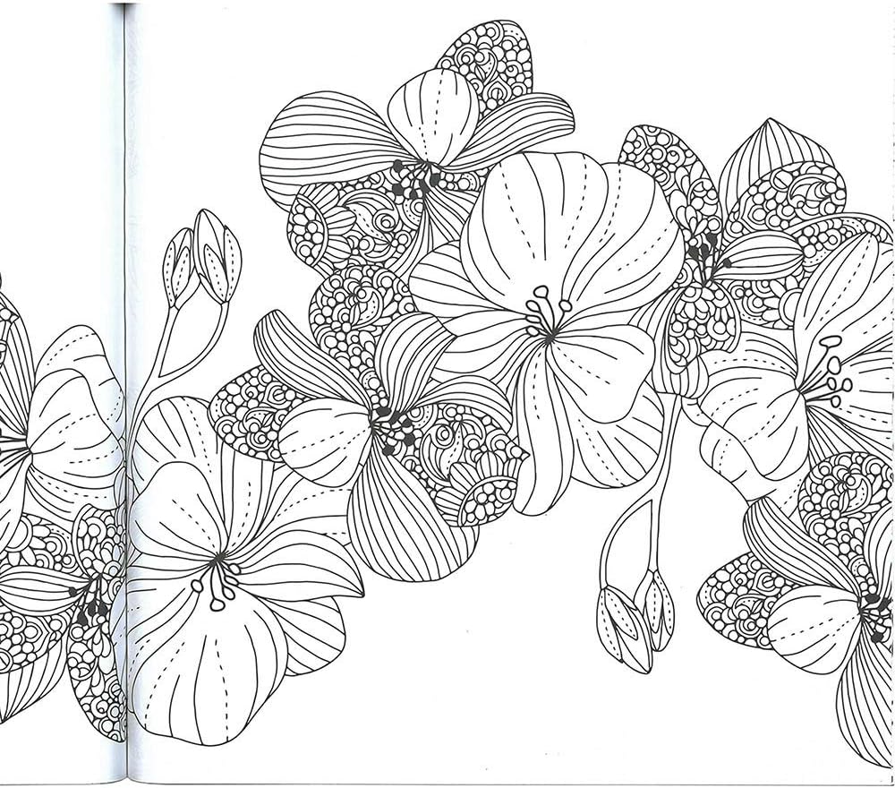 Craft County Step-by-Step Project Workbooks – Fun Activity Ideas for Macrame, Paracord, and Quilting – Hidden Language of Flowers