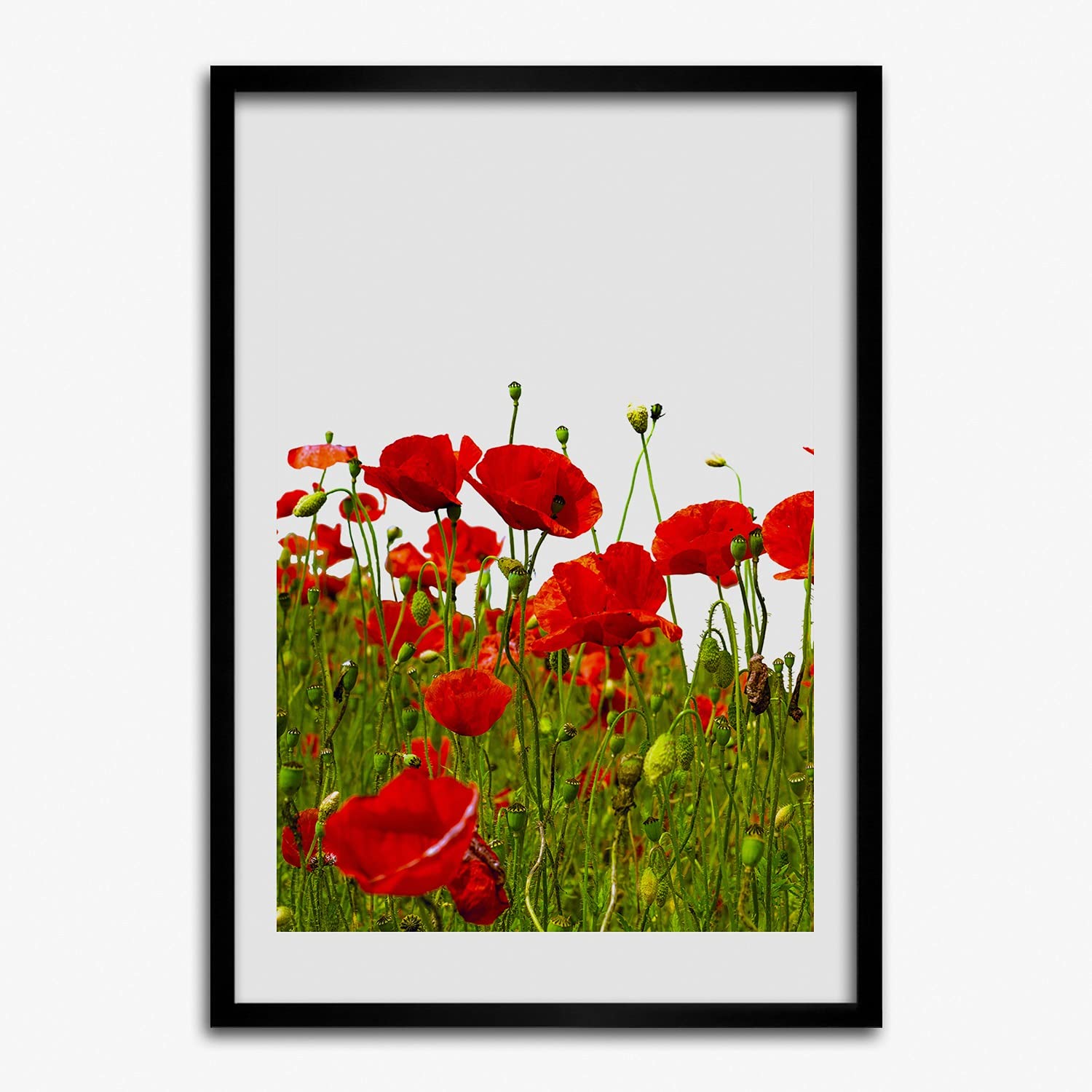 Affiche champ de coquelicots Tulup pour une ambiance poétique et douce