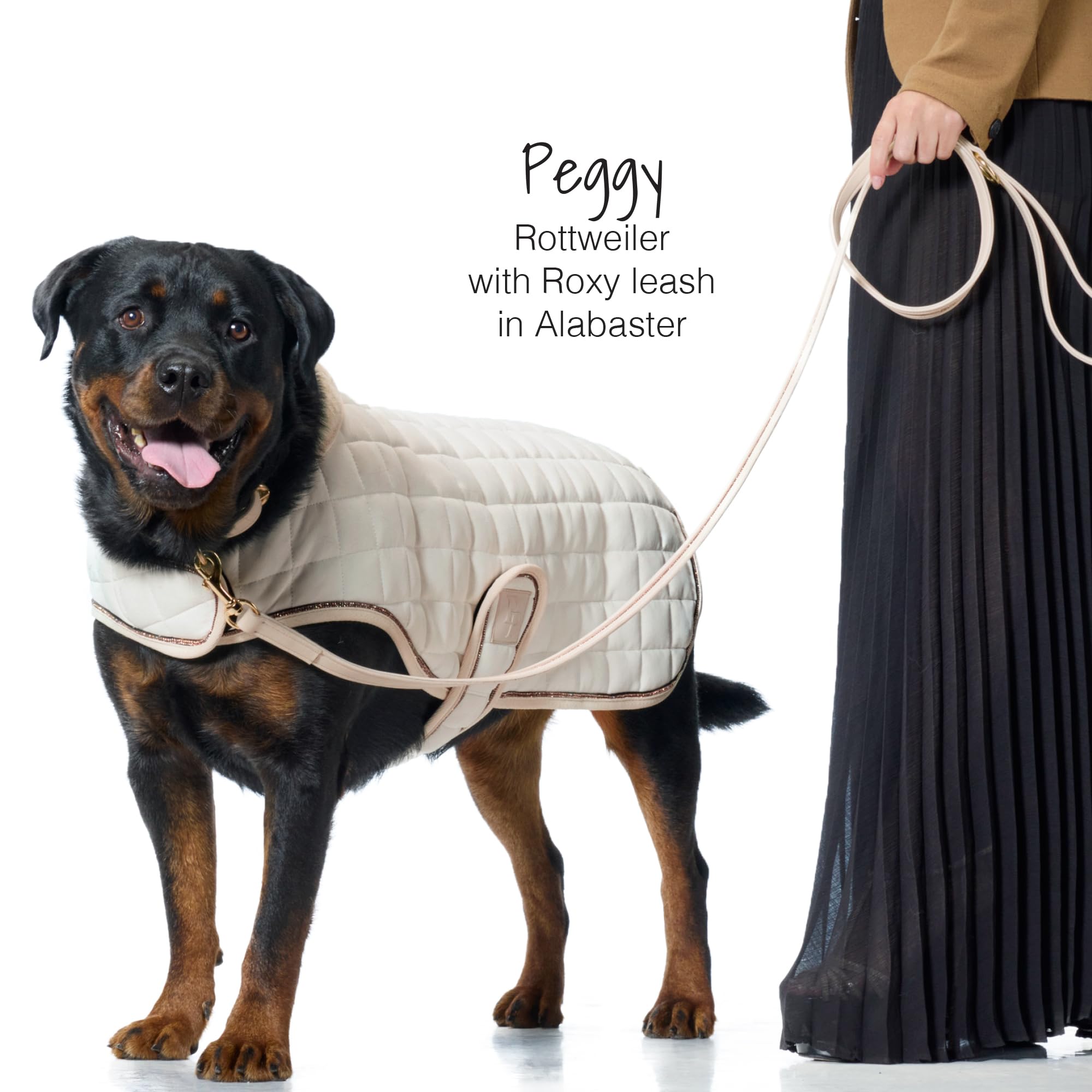 Roxy Hundeleine mit Strasssteinen besetzt, strapazierfähig, veganes Leder mit Messing und Kristallen, 1,8 m, für kleine, mittelgroße und große Hunde, Rouge, Einheitsgröße