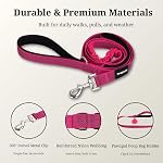 6FT Bungee Dog Leash – Shock Absorbing, Dual Handle with Traffic Control, Soft Padded Grip, Starlight Reflective for Comfort and Safe Daily Walks (Black)