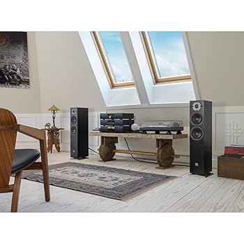 Amazon.com: DALI Oberon 5 Hi-Fi Floorstanding Tower Speakers