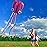 Hengda Kite Software Octopus Flyer Kite with Long Colorful Tail for Kids, 31-Inch Wide x 157-Inch Long, Large, Purple