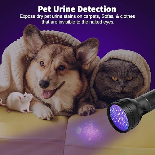 Miniatura 2 de ESCO LITE Linterna UV de 51 LED de luz negra y linterna de luz negra de 385 nM para orina de perro, gato, mascotas, manchas secas y chinches de