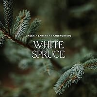 Vista 3 de Antica Farmacista Vela de tres mechas Vela decorativa para el hogar Larga duración y perfumada de primera calidad Regalo de lujo, abeto blanco, 9