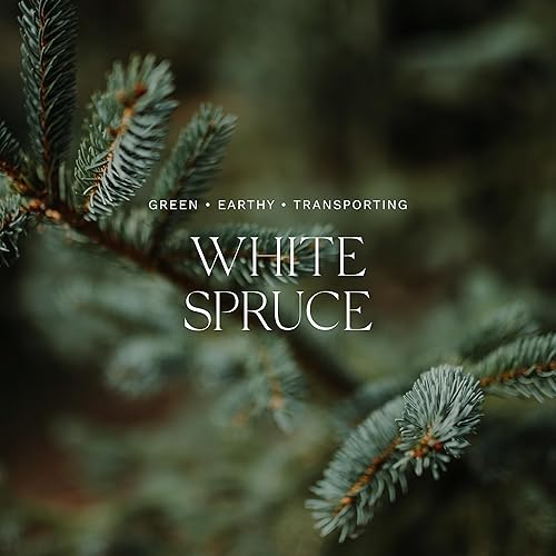 Miniatura 3 de Antica Farmacista Vela de tres mechas  Vela decorativa para el hogar  Larga duración y perfumada de primera calidad  Regalo de lujo, abeto blanco, 9