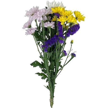 Amazon 生花 スタンダード 短め 1束 法事 命日 仏花 お墓 お仏壇に A 35 切り花 オンライン通販