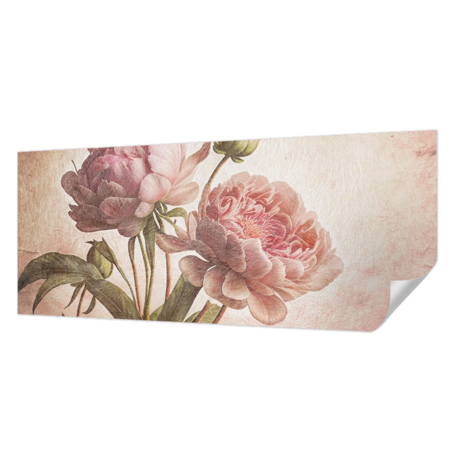 Décor mural adhésif pivoines 250x104 cm résistant aux taches