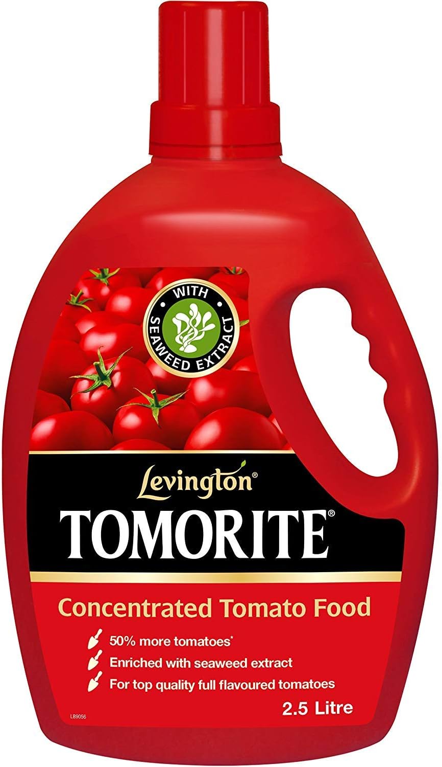 Tomorite