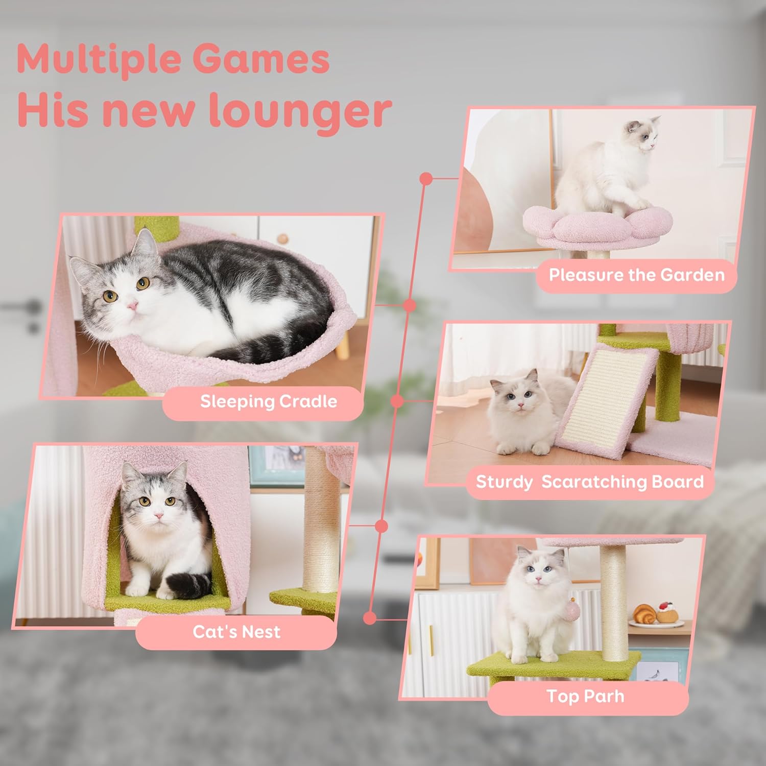https://m.media-amazon.com/images/I/71Y3mq269iL._AC_SL1500_.jpg