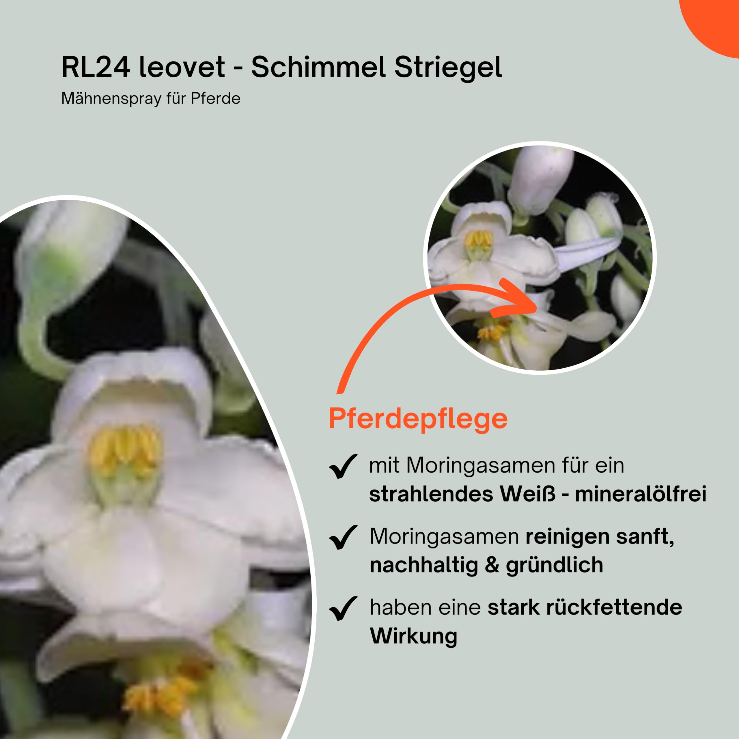 RL24 leovet - Schimmel Striegel | Mähnenspray für Pferde | entfernt Flecken & Verfärbungen | Schweifspray für brillanten Weißeffekt | stark rückfettende Fellpflege | 5 x 550 ml Spray (5er Set)
