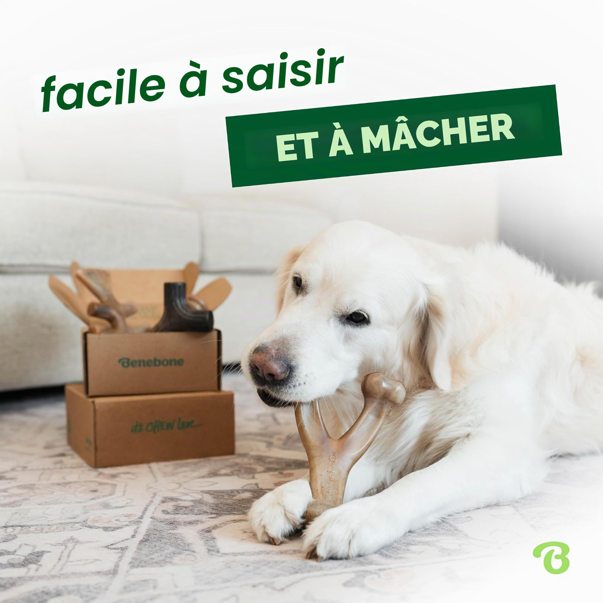 Benebone Boîte de Jouets à mâcher Durable pour Chien avec Wishbone, Fishbone, bâton et zaggler - Taille M