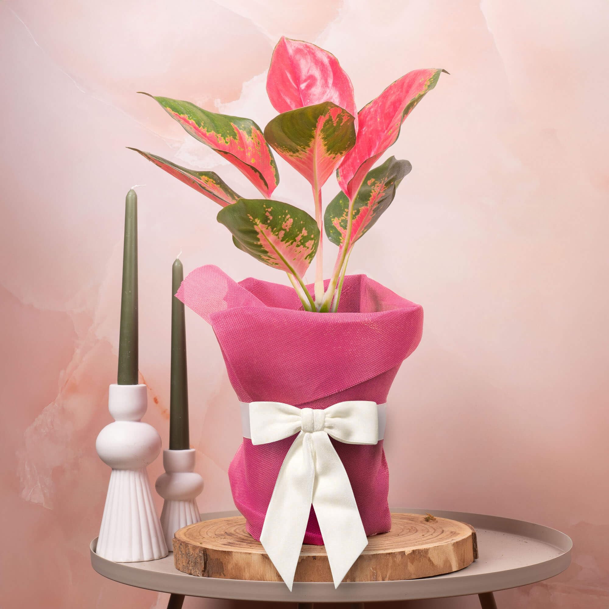 GardenersDream Aglaonema Red Zirkon Plant Gift - Indoor Real Houseplant for Birthday, Anniversary & Mother's Day Gifting - Pink Hessian Wrapping, White Bow & Custom Message Card (12cm Pot, 25-35cm)