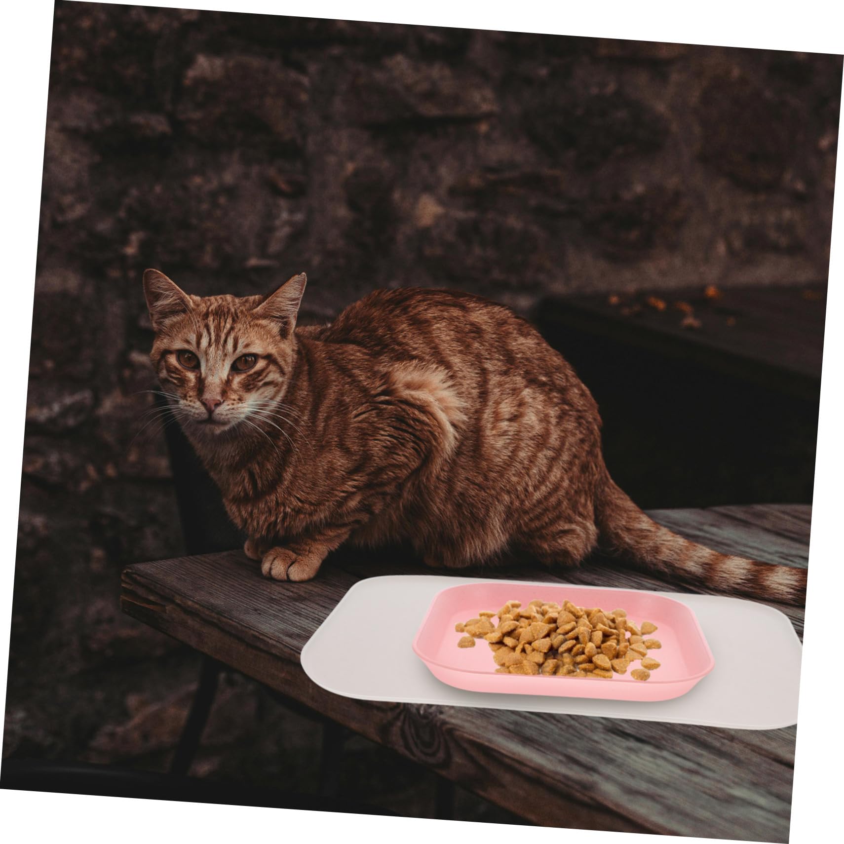 Supvox 3stücke Puppy Feeding Dish Mat wasserdichte -futtermatte Mit Erhöhtem Für Haustiere rutschfest Und Leicht Zu Reinigen Für Hunde Und Katzen
