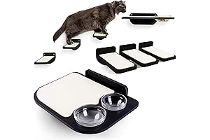 Wall-Mounted Cat Feeding Paradise: Unleashing Feline Delight