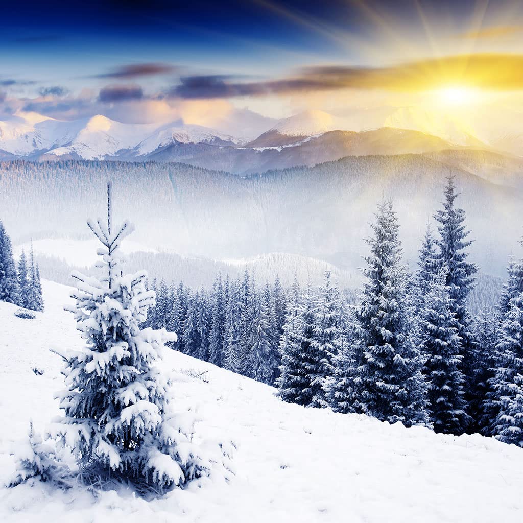 Manta De Franela De Microfibra 180X220Cm Manta De Felpa Suave para Sofá Cama 3D Escena De Nieve Blanca En El Bosque Impresión Patrón Manta Polar Invierno Gruesa Y Esponjosa Caliente Transpirable