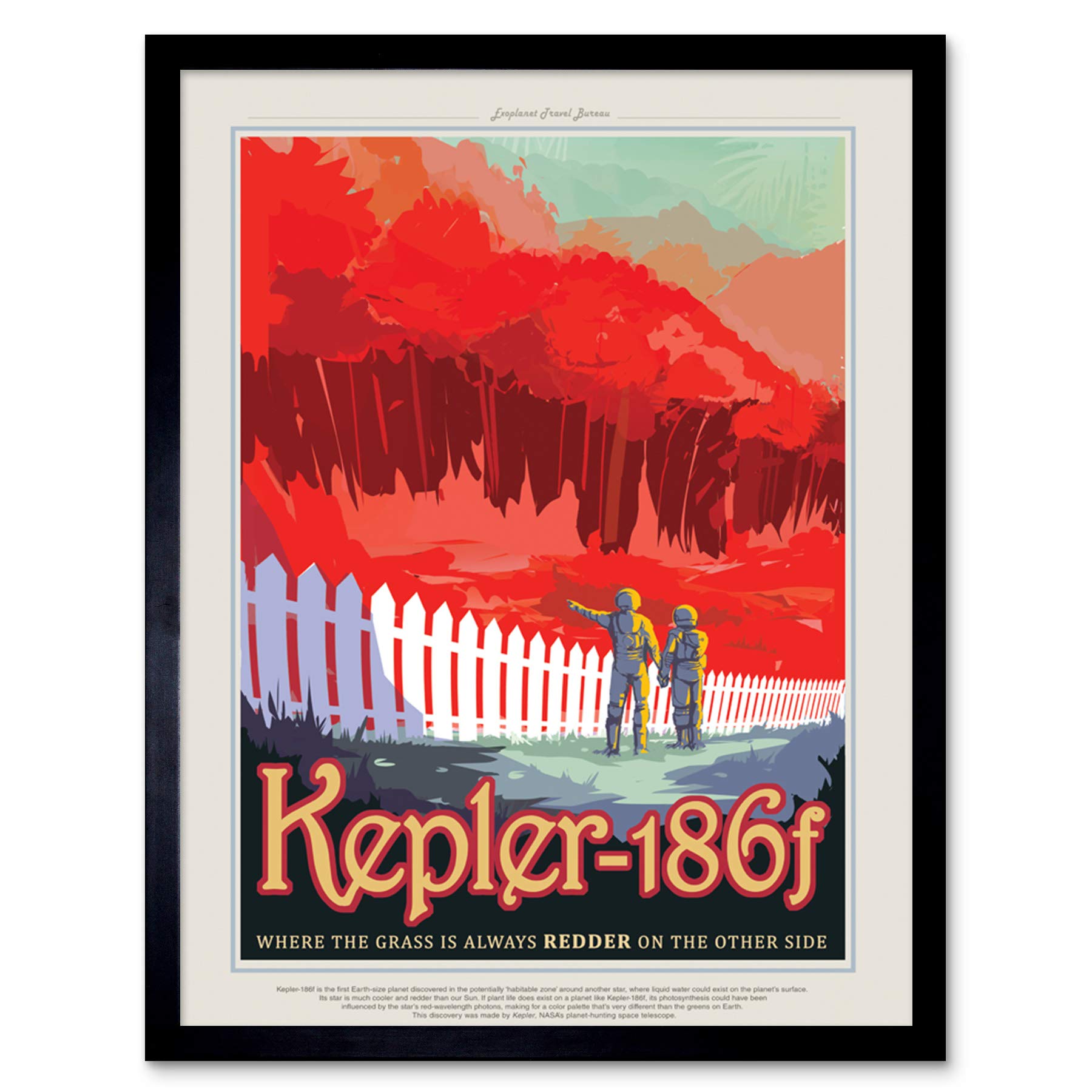 Kepler-186f Grass Redder NASA Space Tours Travel Art Print Framed Poster Wall Decor 12x16 inch