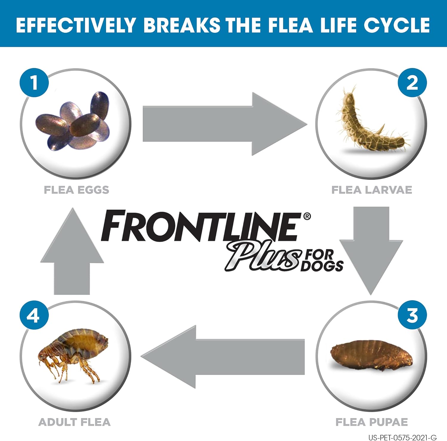 FRONTLINE Plus Flea and Tick Treatment for Dogs (Medium Dog, 23-44 Pounds, 6 Doses) : Pet Flea And Tick Repellents : Pet Supplies
