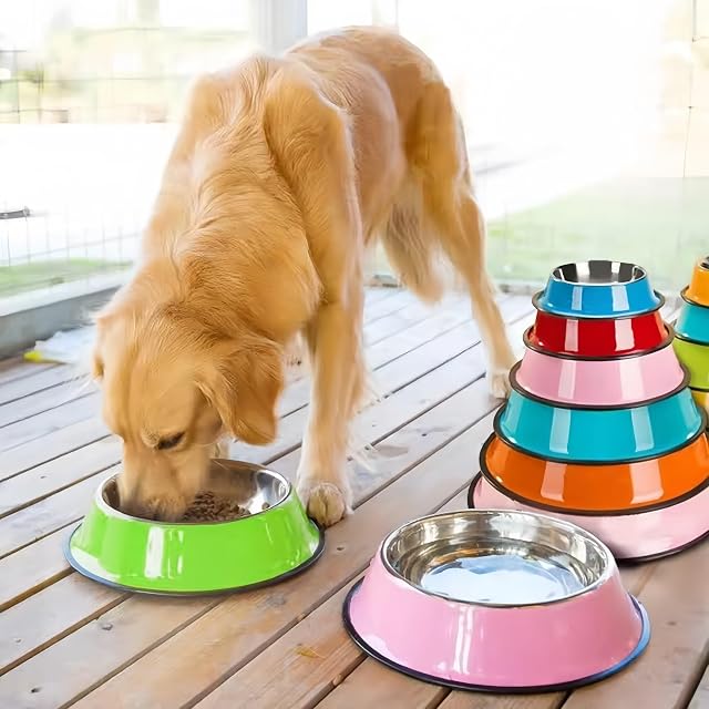Foto 5 de 7 de MEIEG Comederos Personalizados para Perros con Nombre