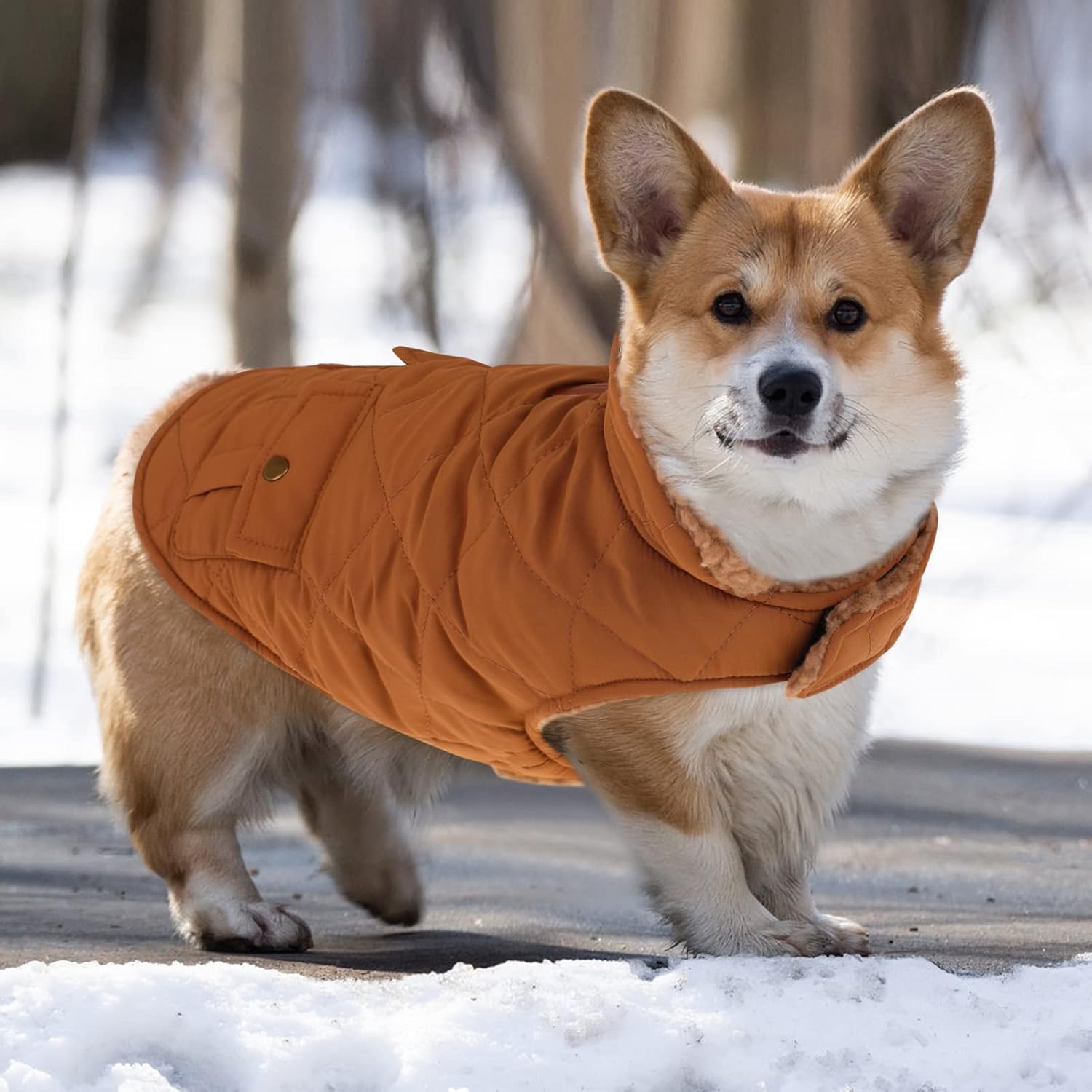 Queenmore Warm Dog Coat, Cold Weather Puffer Dog Jacket with Ultra Thick Plush Lining and Storage Pockets (Brown, Medium) - Image 5