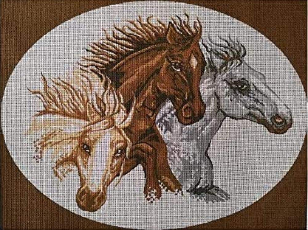Tapisserie à demi-point chevaux 30x40cm pour rompre le stress