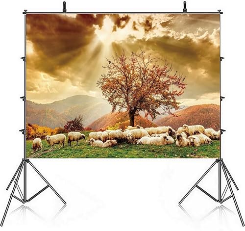 Miniatura 4 de Fondo de fiesta de paisaje de paisaje de árbol de ovejas y cielo de otoño de 7x5ft