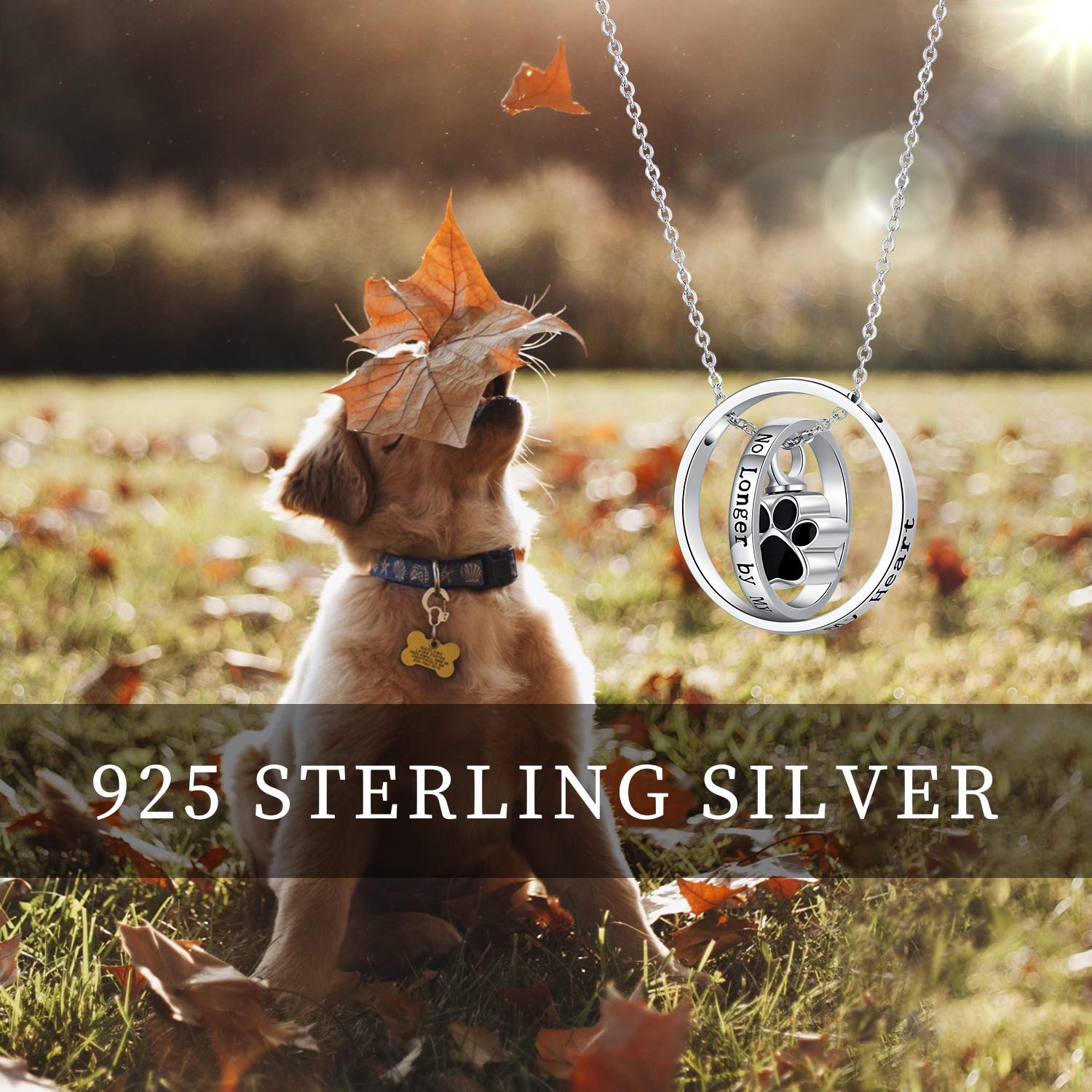 Collana con urna per ceneri in argento Sterling 925, con stampa di margherita/zampa di cane, ciondolo commemorativo per cremazione, gioiello per donne e amiche