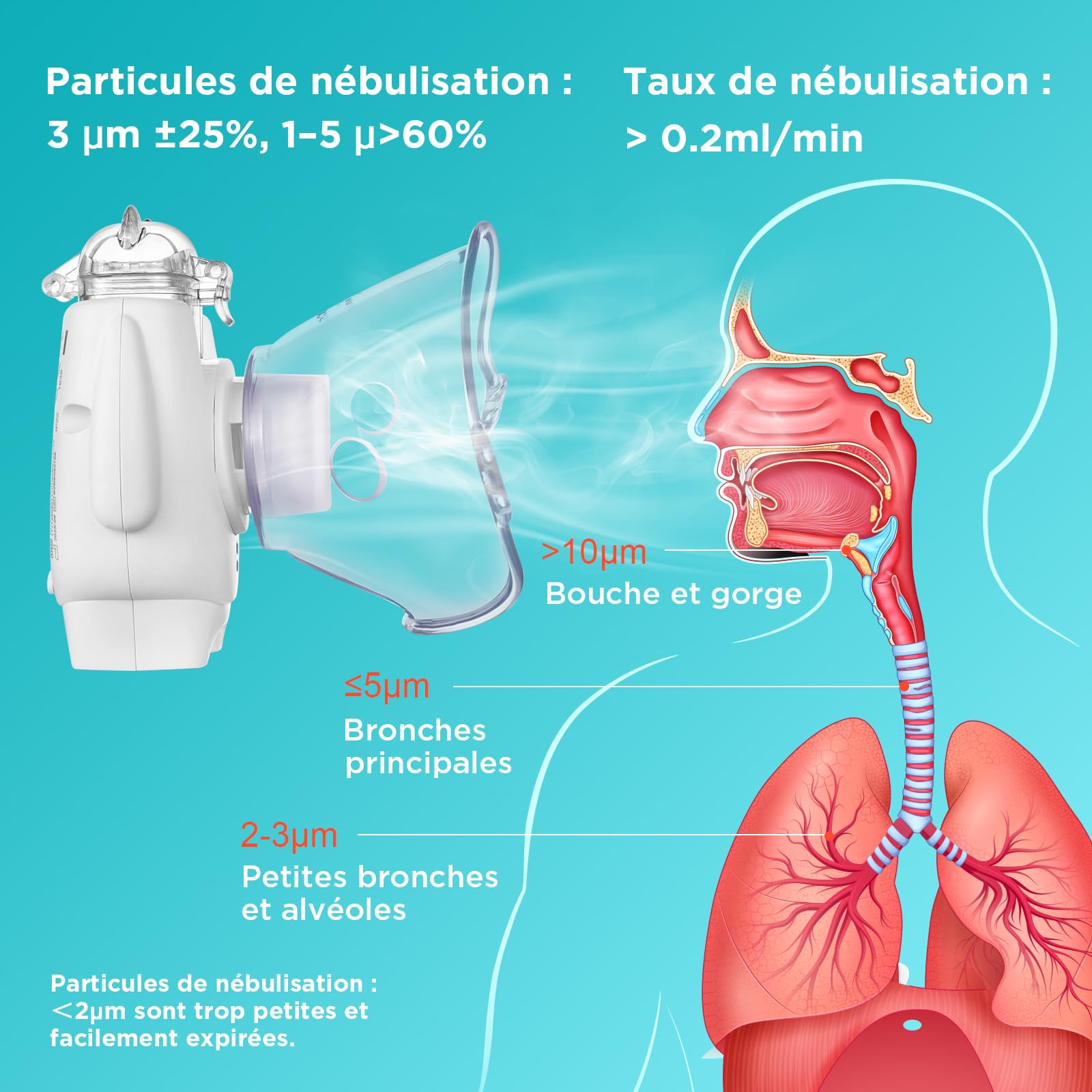 Nebulisateur Portable pour Enfant et Adulte, Inhalateur Silencieux à Technologie à Membrane Vibrante, Brume Fine 1–5 µm, Rechargeable, avec 2 Masques et un Embout Buccal, pour la Maison et en Voyage