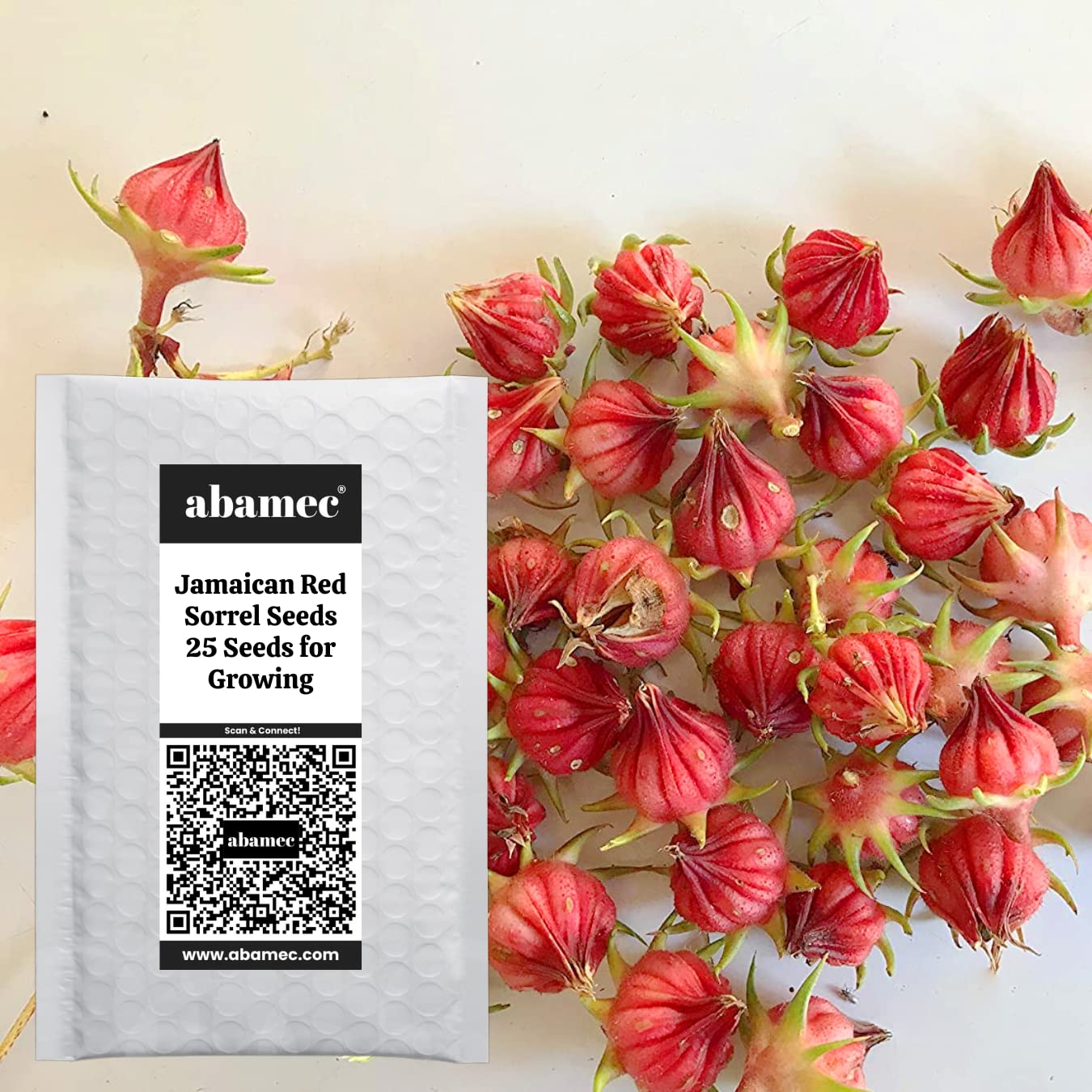 abamec Red Jamaica Rosella, Hibiscus sabdariffa Lal Ambari, Jamaican red Sorrel Seeds for Growing - 25 Seeds Pack (B09Z6LK67L) Amazon Price History, Amazon Price Tracker