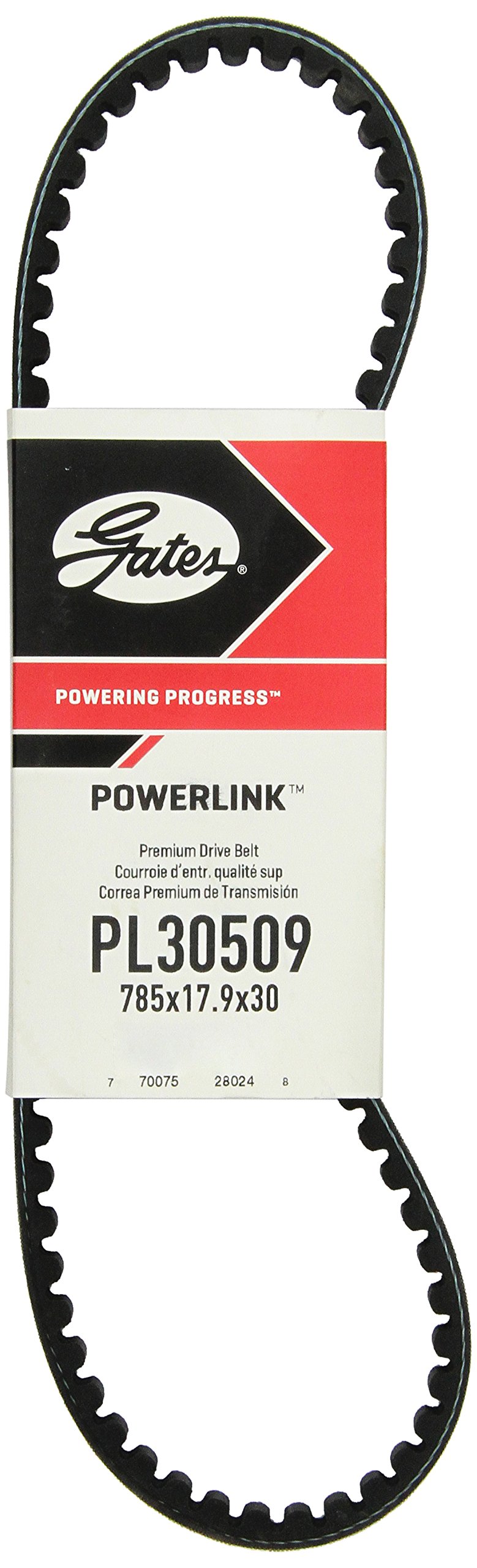 Frankberg 10x Bras de suspension Barre de couplagen Bras intégral Palier Arrière Compatibles avec X5 E53 3.0d 3.0i 4.4i 4.6is 4.8is 2000-2006 Remplacer# 33326770859 Frankberg 10x Bras de suspension Barre de couplagen Bras intégral Palier Arrière Compatibles avec X5 E53 3.0d 3.0i 4.4i 4.6is 4.8is 2000-2006 Remplacer# 33326770859