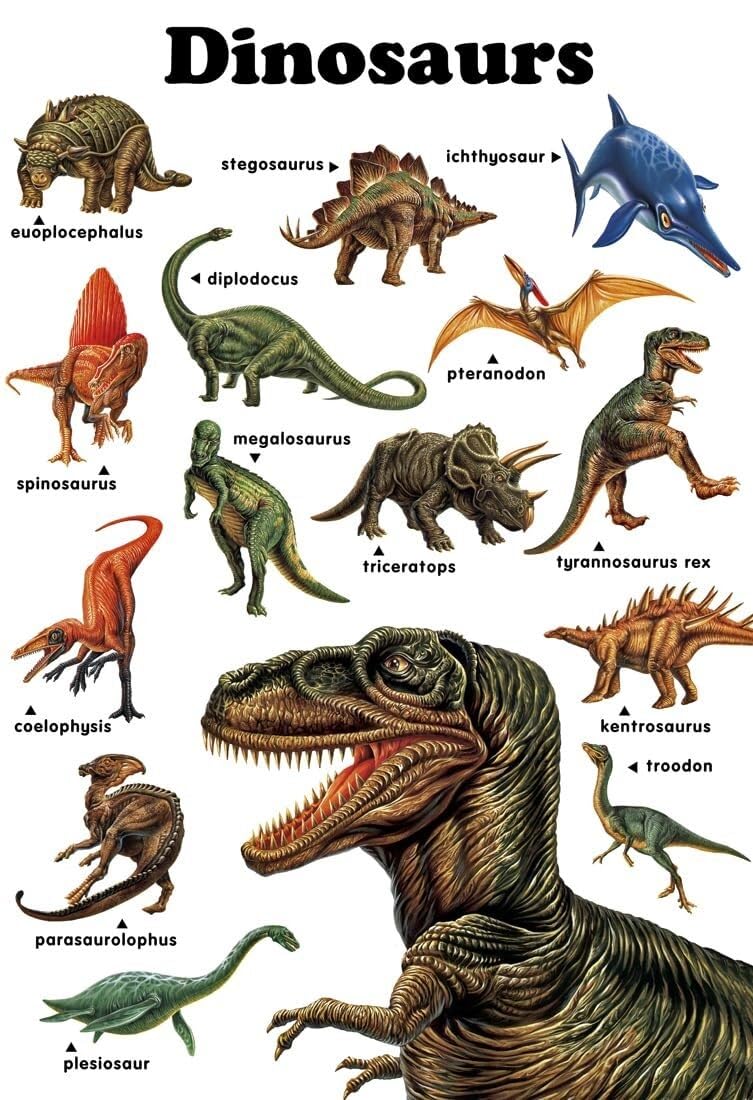 KCDFDVJFBM Tyrannosaurus Rex and Triceratops Art Print, Dinosaur Wall Decor with Stegosaurus and Megalosaurus, Educational Poster for Young Learners(Framed,16x24inch(40x60cm))