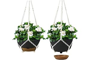 Lager Self Watering Hanging Planters