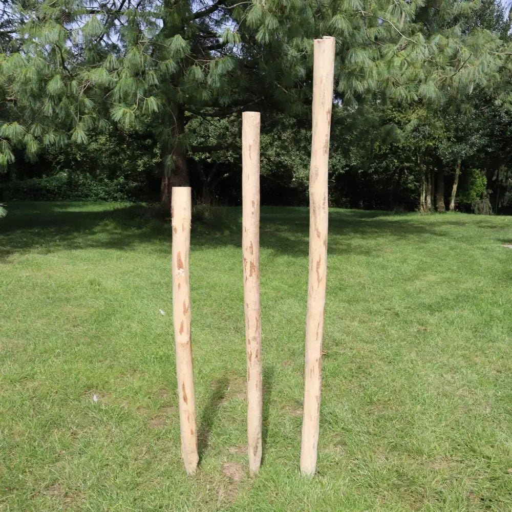 8/6/5/4ft Rustic Chestnut Fence Posts (1, 240cm)