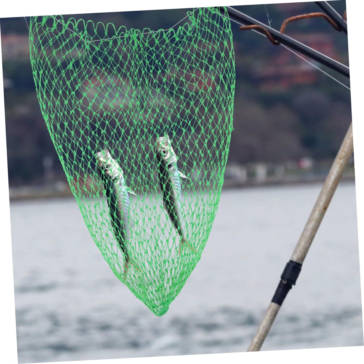 Abaodam Bolding Web Web Web catturare stagno Maglia netto Piccola rete da pesca rete da pesca con manico accessorio per la pesca rete per pesci d'acquario reti da pesca nylon Verde