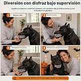 Ver la foto 5
