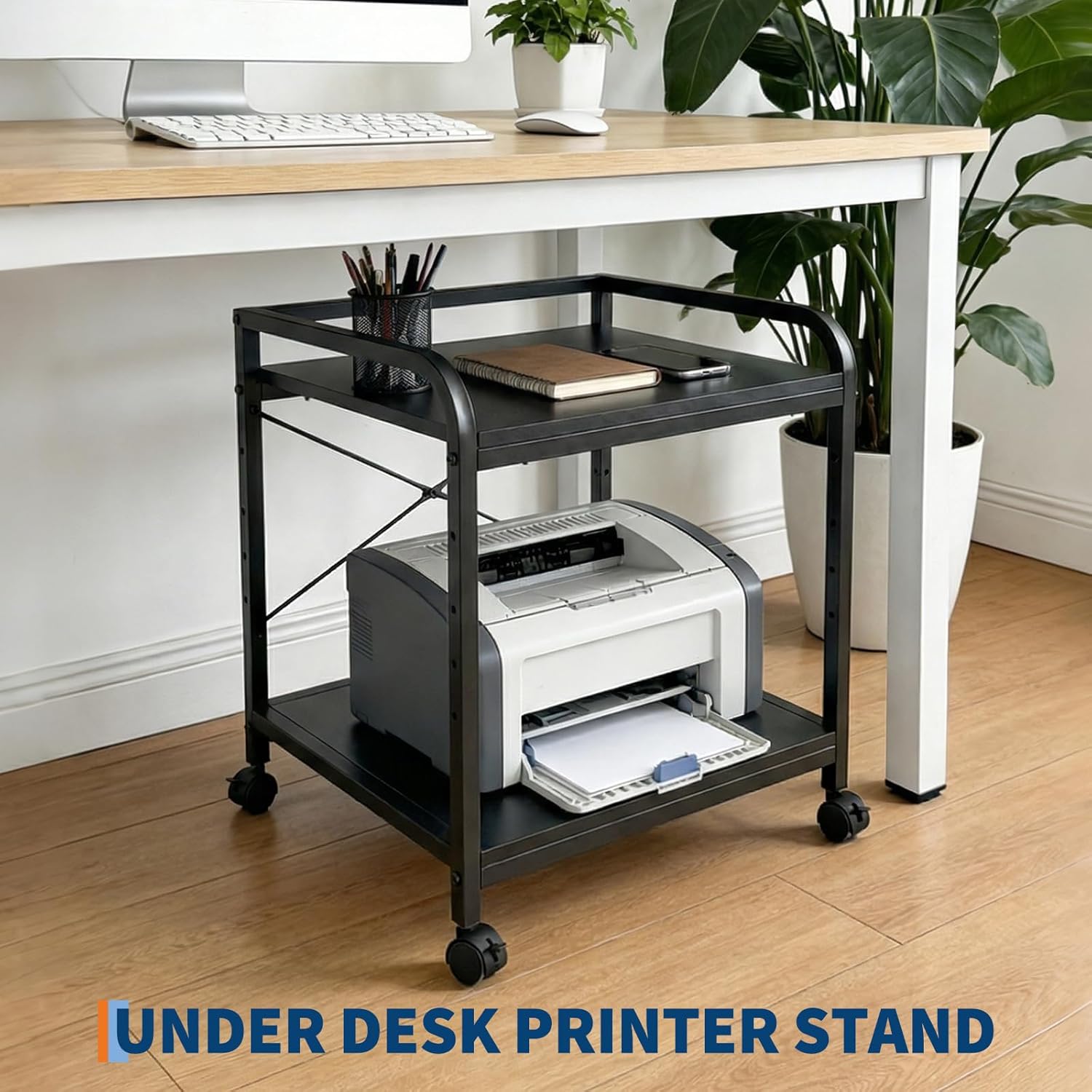 Adjustable Shelf Height Options