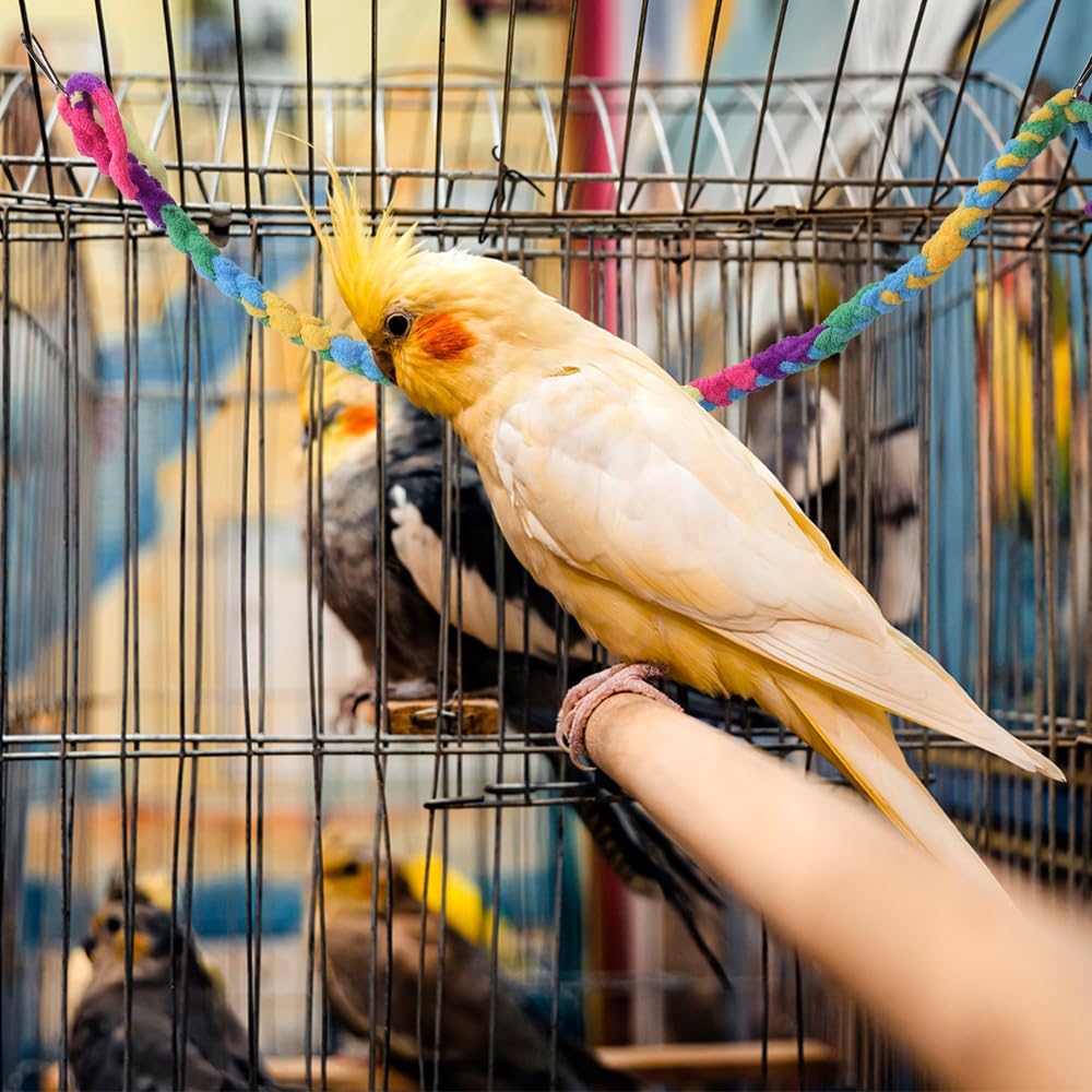 DONGKER Corda Arrampicata per Piccoli Animali,2/4 Pezzi Giocattolo per Aliante Zucchero con Fibbia in Metallo per Ratto Furetto Pappagallo Esplora Esercizio